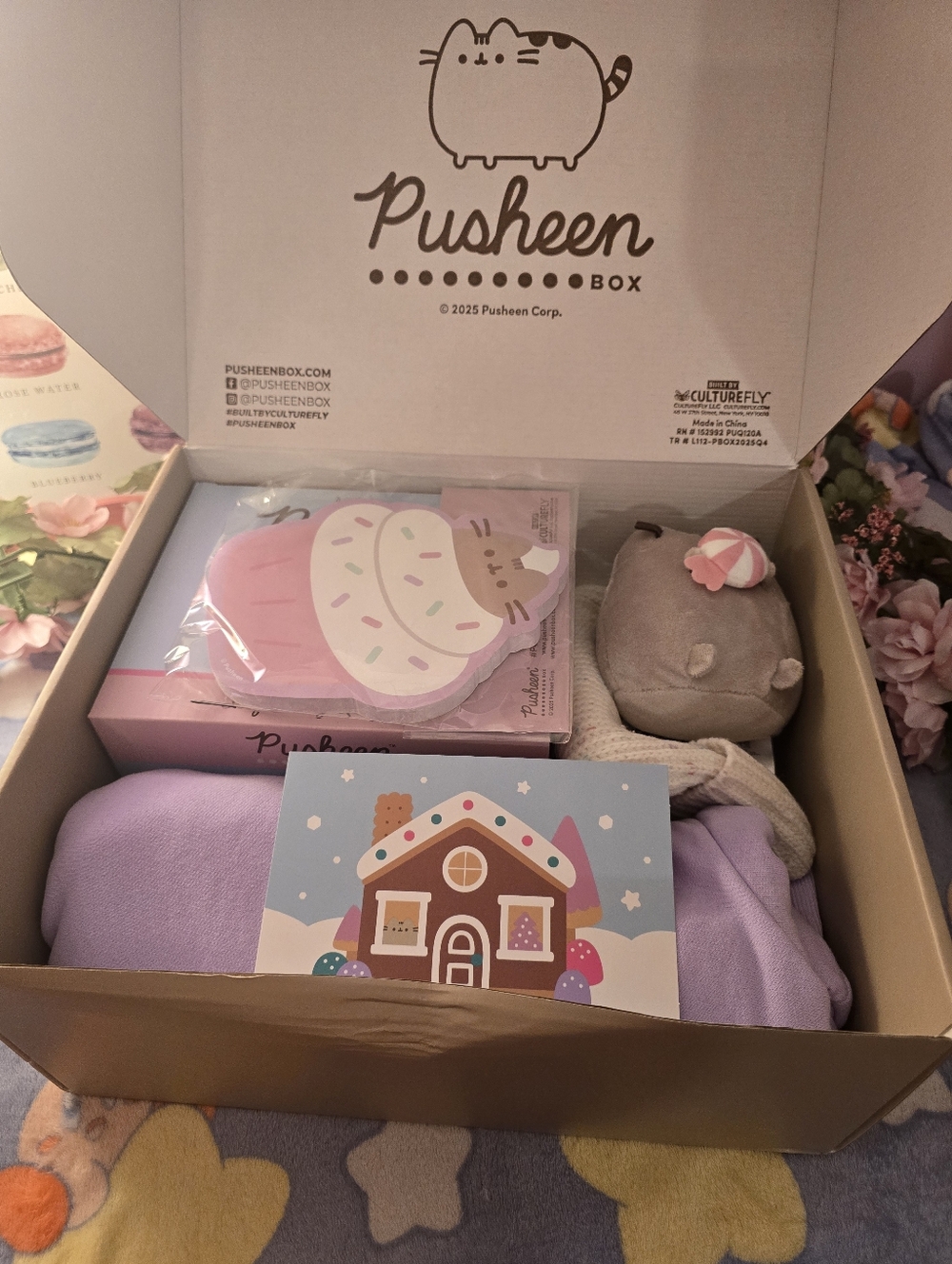 Winter 2025 Pusheen Box - No Vinyl Figure